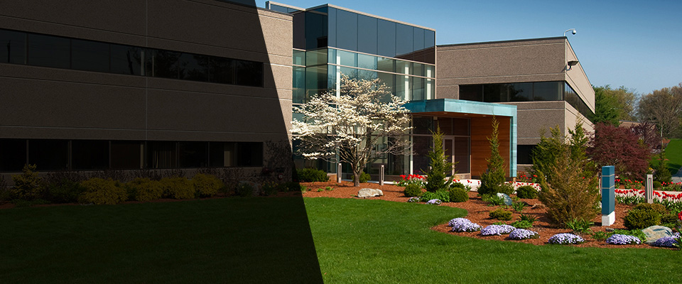 Eutawville Landscapers