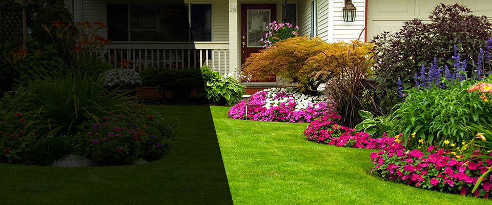 Eutawville Landscapers