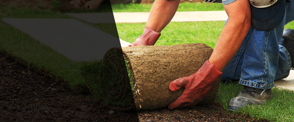 Eutawville Landscapers